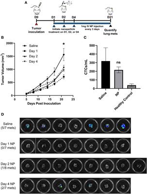 Myeloid cell reprogramming alleviates immunosuppression and promotes clearance of metastatic lesions